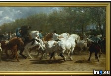 Tags: rosa, horse, fair, art, europe, european, metropolitan, museum, painting, paintings (Pict. in Metropolitan Museum Of Art - European Paintings)