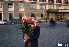 Tags: peddler, rose (Pict. in National Geographic Photo Of The Day 2001-2009)