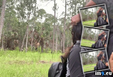 rough outdoor face fuck porn gif (blowjob,amateur,face-fuck) (#Porn #Boobs #Gif #Amateur #Animated #Face #Best #List #Hornygif #Outdoor #Rough) - 2.3 MB Tags: amateur, animated, best, blowjob, boobs, face, fuck, fuckyeah, gif, hornygif, list, orgasm, outdoor, porn, rough, xxx (GIF in Best Porn GIF-s List)