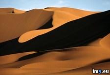 Tags: dunes, sahara (Pict. in National Geographic Photo Of The Day 2001-2009)