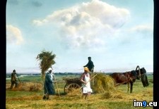 Tags: farmers, harvesting, hay, leningrad, petersburg, saint (Pict. in Branson DeCou Stock Images)
