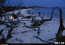 Tags: beach, cay, fire, samana (Pict. in National Geographic Photo Of The Day 2001-2009)