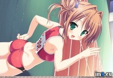 Tags: sample, afee, anime, hentai, porn, pool, ray, sexygirls, swimsuit, boobs, tits (Pict. in anime 3)