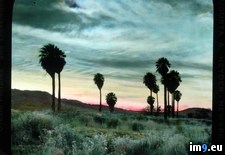 Tags: bernardino, california, county, landscape, palms, san, twentynine (Pict. in Branson DeCou Stock Images)