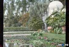 Tags: balboa, botanical, building, california, detail, diego, garden, park, pool, san (Pict. in Branson DeCou Stock Images)