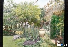 Tags: california, diego, evans, garden, herbert, house, mrs, san (Pict. in Branson DeCou Stock Images)