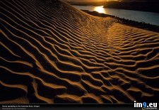 Tags: dunes, oregon, sand (Pict. in National Geographic Photo Of The Day 2001-2009)