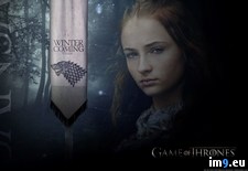 Tags: sansa, stark (Pict. in Game of Thrones ART (A Song of Ice and Fire))