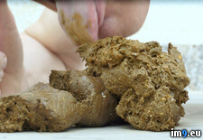 SCAT-084 (#Dirty #Fag #Shit #Shiteater #Scat) - 141 KB Tags: alexander, dirty, fag, pervert, pig, scat, shit, shiteater (Pict. in SCAT SHIT FAG)