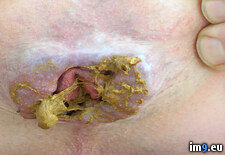 SCAT-094 (#Dirty #Fag #Alexander #Scat #Shithole) - 545 KB Tags: alexander, dirty, fag, pig, scat, shit, shithole (Pict. in SCAT SHIT FAG)