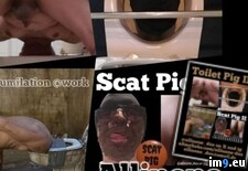 Tags:  (Pict. in Exposed Toilet Pig und Drecksau Allinone)