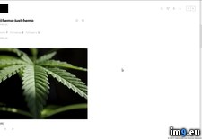 Tags: screenshot (Pict. in Alternative-News.tk)