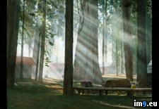 Tags: cabins, forest, giant, grove, lodge, national, park, sequoia (Pict. in Branson DeCou Stock Images)