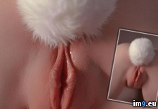 Tags: bunny, sexy (Pict. in Hot & Sexy)