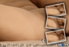 Tags: clitorises, gals, rub, sexy (GIF in صور سكس متحركة)