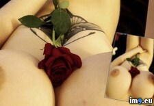 _sHA41gij3tqbfI9yiKvCvOOO2KT1_x5_zUZ2dPZZFo (#Tits #Sexy #Boobs #Nude #Naked #Wilde #Stylish #Nudeinpublic #Levine #Sha) - 596 KB Tags: boobs, city, levine, lingerie, naked, nude, nudeinpublic, public, rosie, sexy, sha, stylish, tattooed, tits, wilde (Pict. in Ms. Rosie Wilde, Rosie Levine, Rosie Manhattan nude)