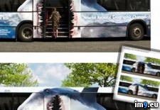 Tags: bus, shark (Pict. in Funny ads, commercials)