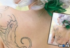 Tags: boobs, diamondeyes, emo, porn, sexy, shark, suicidegirls, tatoo, tits (Pict. in SuicideGirlsNow)