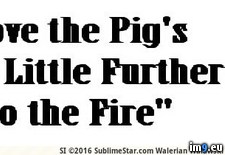 Tags: banner, fire, foot, little, pig, shove (Pict. in Roots Music images)