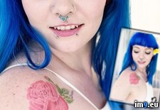 Tags: bluelotus, boobs, emo, hot, porn, sirenn, softcore, tatoo, tits (Pict. in SuicideGirlsNow)