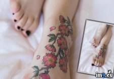 sirenn-thesiren-37 (#Porn #Tits #Sexy #Tatoo #Sirenn #Thesiren) - 55 KB Tags: boobs, porn, sexy, sirenn, softcore, suicidegirls, tatoo, thesiren, tits (Pict. in SuicideGirlsNow)