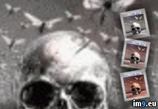 Tags: skull (GIF in Evil, dark GIF's - avatars and horrors)