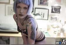 Tags: bluehour, emo, girls, hot, porn, skydot, softcore, suicidegirls, tits (Pict. in SuicideGirlsNow)