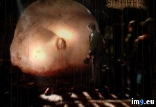 Tags: horror, monster, movies, slither, women (Pict. in Horror Movie Wallpapers)