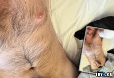 Tags:  (Pict. in James)