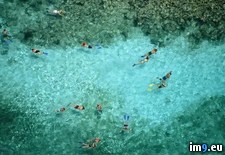 Tags: snorkelers (Pict. in National Geographic Photo Of The Day 2001-2009)