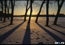 Tags: shadows, snow (Pict. in National Geographic Photo Of The Day 2001-2009)