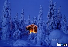 Tags: beautiful, cabin, finland, forest, getty, highres, images, log, national, park, riisitunturi, snowy, spruce, wallpaper (Pict. in December 2012 HD Wallpapers)
