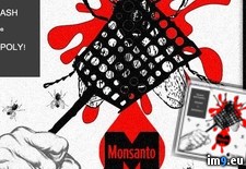 Tags: final, monsanto, squash (Pict. in Zionist Conspiracy Pics)