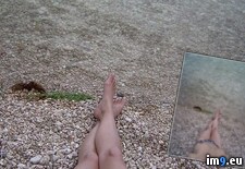 Steffi-55 (#Tits #Boobs #German #Topless #Steffi) - 1.1 MB Tags: amateur, beach, boobs, german, steffi, tits, topless (Pict. in Steffi)