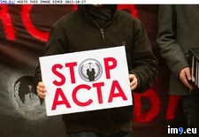 Tags: acta, stop (Pict. in Rehost)