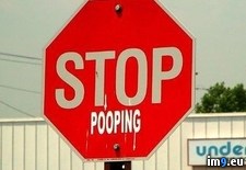 Tags: funny, meme, pooping, stop (Pict. in Funny pics and meme mix)