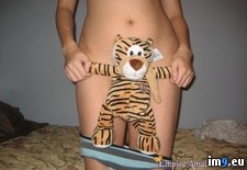 Tags: animal, stuffed (Pict. in Amateur Teens Naked)