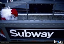 Tags: cobb, santa, subway (Pict. in National Geographic Photo Of The Day 2001-2009)