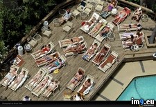 Tags: dale, sunbathing (Pict. in National Geographic Photo Of The Day 2001-2009)