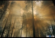 Tags: smoke, sunlit (Pict. in National Geographic Photo Of The Day 2001-2009)