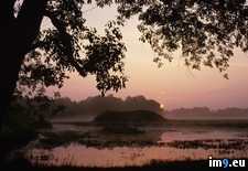 Tags: alabama, archaeological, moundville, park, sunrise (Pict. in Beautiful photos and wallpapers)