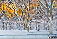 Tags: central, city, getty, images, new, park, snowstorm, sunrise, york (Pict. in December 2012 HD Wallpapers)