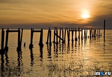 Tags: florida, pier, sunset (Pict. in Beautiful photos and wallpapers)
