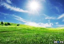 Tags: sunshine (Pict. in 1920x1200 wallpapers HD)