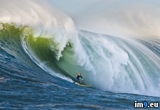 Tags: california, mavericks, northern, surfing (Pict. in Beautiful photos and wallpapers)