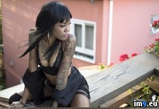 Tags: blackpearl, boobs, girls, hot, sexy, softcore, suzuh, tatoo, tits (Pict. in SuicideGirlsNow)