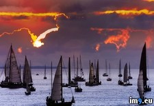 Tags: british, columbia, ocean, pacific, race, swiftsure, victoria (Pict. in Beautiful photos and wallpapers)