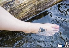 syduck-coldhandscoralheart-15 (#Porn #Tits #Hot #Tatoo #Syduck #Coldhandscoralheart) - 155 KB Tags: boobs, coldhandscoralheart, emo, hot, porn, softcore, syduck, tatoo, tits (Pict. in SuicideGirlsNow)
