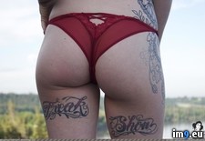 syren-endoftheworld-21 (#Tits #Sexy #Boobs #Tatoo #Syren #Endoftheworld) - 75 KB Tags: boobs, endoftheworld, girls, nature, sexy, softcore, syren, tatoo, tits (Pict. in SuicideGirlsNow)