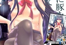 Tags: 640x903 (Pict. in torscrape)